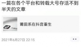 抖音吃瓜爆料站,揭秘娱乐圈最新热点事件